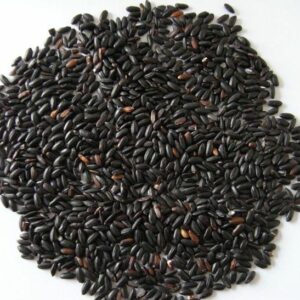 Black Rice (Forbidden Rice)