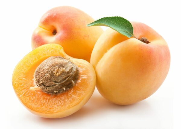 Blenheim Apricots