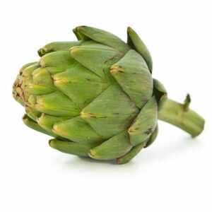 Fresh Artichokes