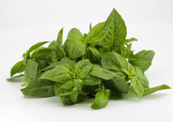 Organic Fresh Basil