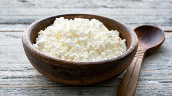 Ricotta Cheese